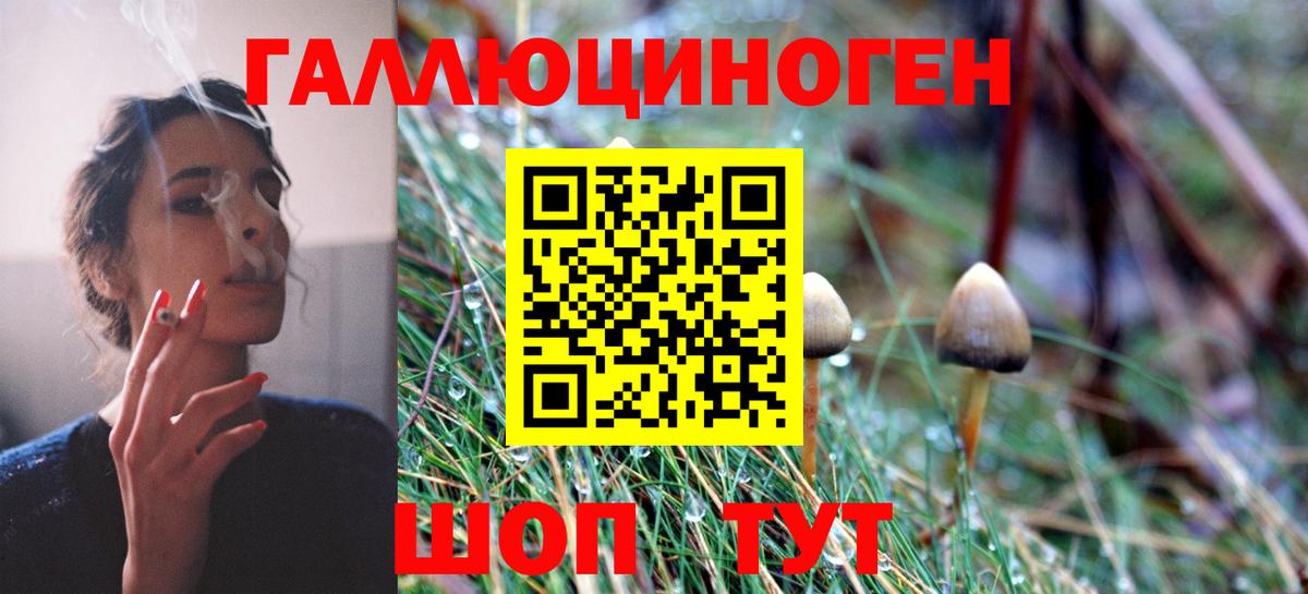 Коркино  Псилоцибиновые грибы мухоморы  Вход с VPN 